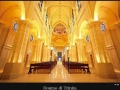 duomo Vicenza-Italian-Limestone-cathedral-columns-arches-pavers